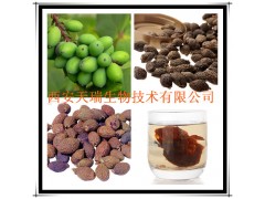 胖大海提取物 厂家大量现货