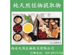 香橼提取物 厂家大量现货