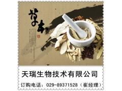 香薷提取物 厂家大量现货