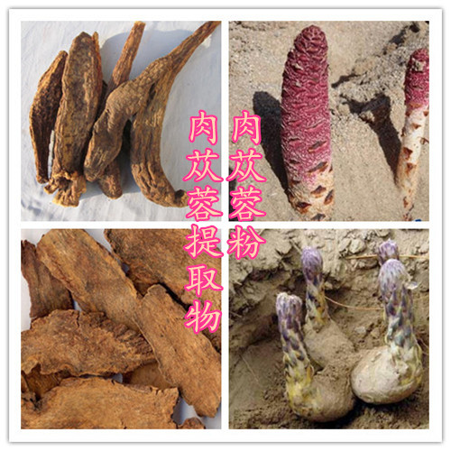 initpintu_副本_副本