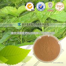 10:1桑叶提取物，药食两用，疏散风热