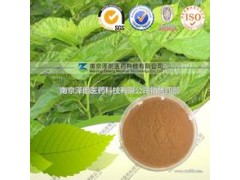 10:1桑叶提取物，药食两用，疏散风热