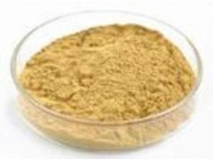 蒲公英提取物，清热解毒，可代加工