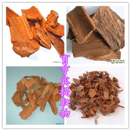 initpintu_副本_副本