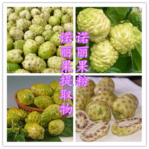 initpintu_副本_副本