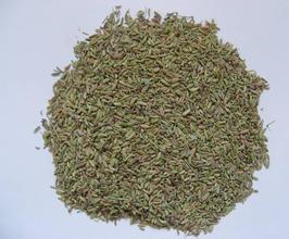 小茴香提取物，药食两用，代加工