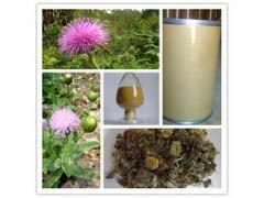 10:1小蓟提取物，凉血止血，可代加工