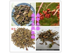 桑寄生提取物   桑寄生粉