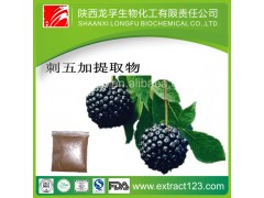 刺五加提取物
