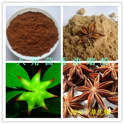 八角茴香浓缩粉_副本