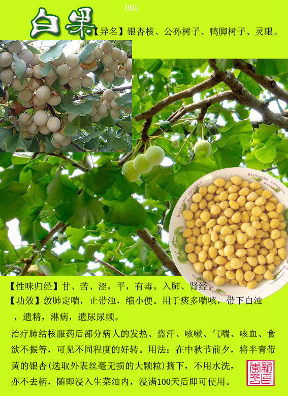 白果
