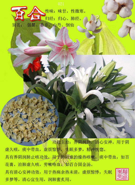 百合