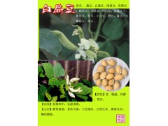 白扁豆速溶粉