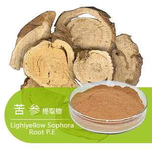 植物提取物苦参碱医药原料