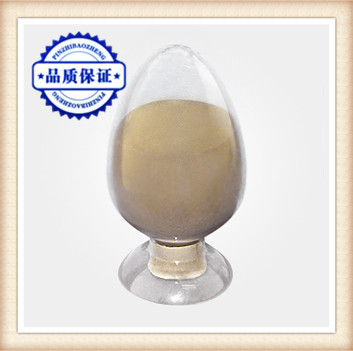 菊花提取物天然提取物厂家热销