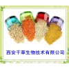 天竺黄提取物的功效作用 西安千草生物生产