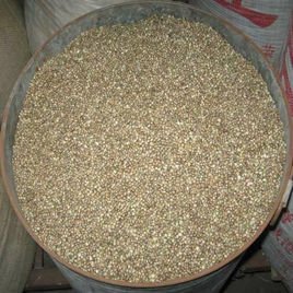镇痛抗炎火麻仁提取物 天然提取物