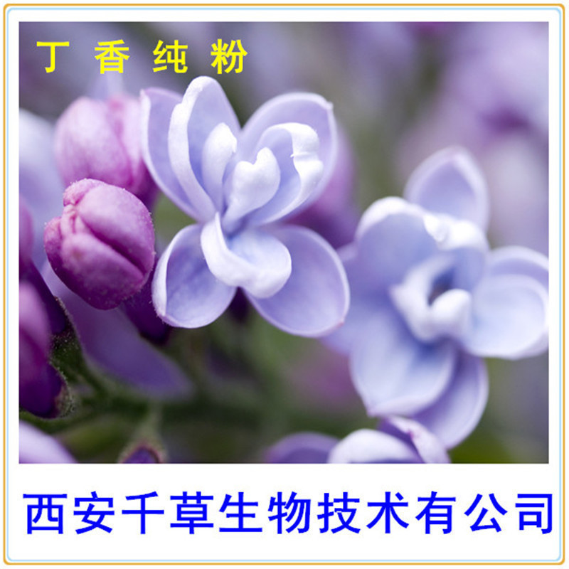 丁香纯粉