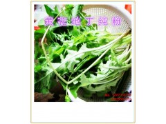 黄花地丁纯粉西安千草生物现货直销