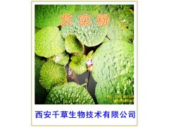 芡实纯粉西安千草生物现货直销