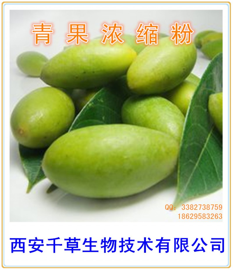 青果浓缩粉