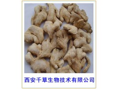 干姜纯粉西安千草生物现货直销