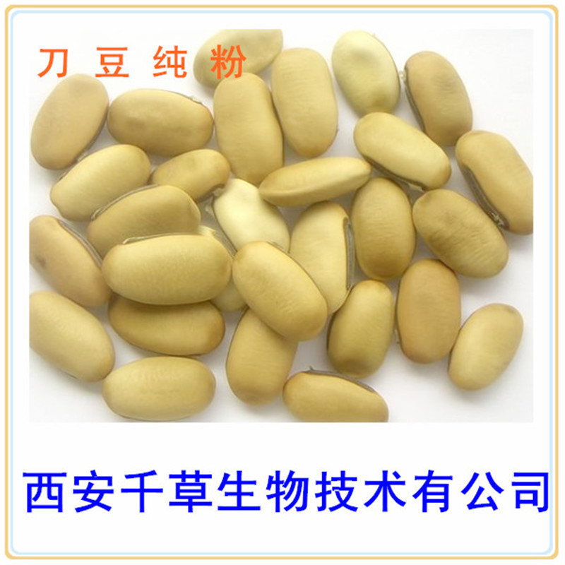 刀豆纯粉