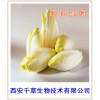 菊苣纯粉西安千草生物现货直销