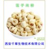 莲子纯粉西安千草生物现货直销