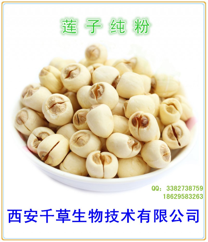 莲子纯粉