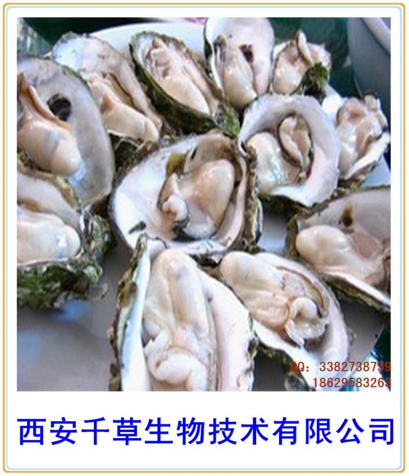 牡蛎壳纯粉西安千草生物现货直销