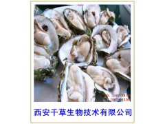 牡蛎壳纯粉西安千草生物现货直销