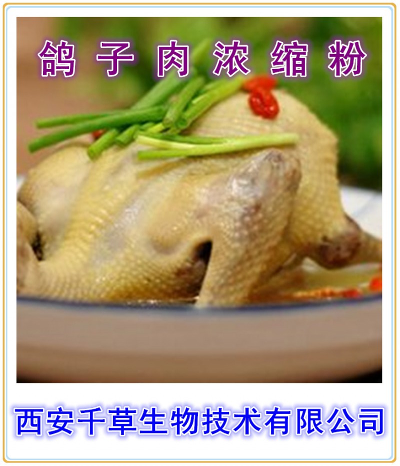 鸽子肉提取物西安千草生物现货直销
