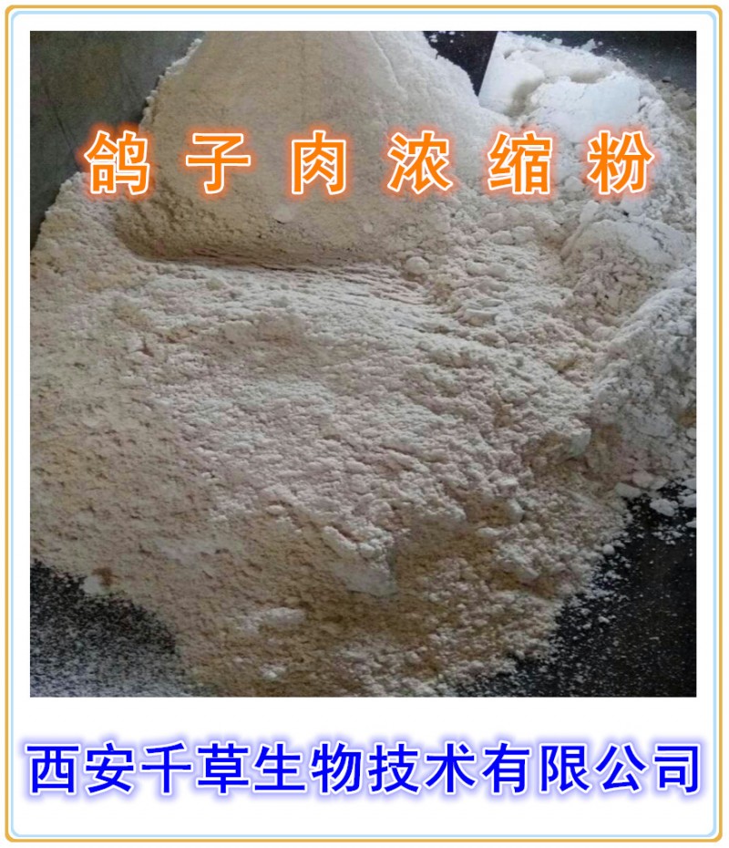 鸽子肉提取纯粉西安千草生物现货直销