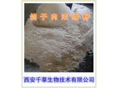 鸽子肉提取纯粉西安千草生物现货直销
