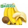 香蕉提取物生产厂家