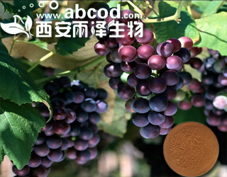 葡萄提取物