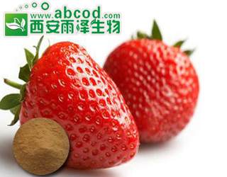 草莓浓缩粉生产厂家
