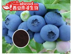 蓝莓浓缩粉生产厂家