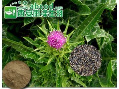 水飞蓟提取物生产厂家