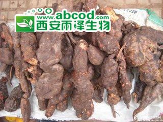 何首乌提取物