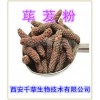 荜茇粉 荜茇速溶粉  荜茇浓缩粉  荜茇提取物