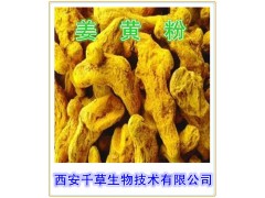 姜黄提取物  姜黄速溶粉  姜黄浓缩粉  姜黄粉