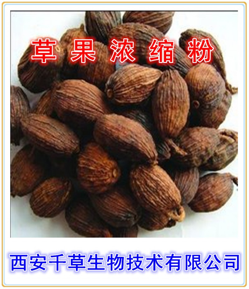 草果浓缩粉