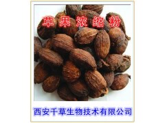 草果提取物  草果速溶粉  草果浓缩粉  草果粉