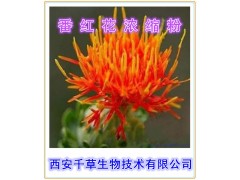 番红花提取物  番红花速溶粉  番红花浓缩粉  番红花粉