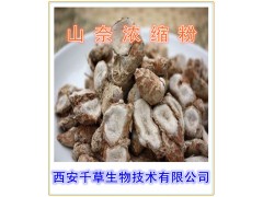 山奈提取物  山奈速溶粉  山奈浓缩粉  山奈粉