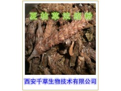 夏枯草提取物  夏枯草速溶粉  夏枯草浓缩粉  夏枯草粉
