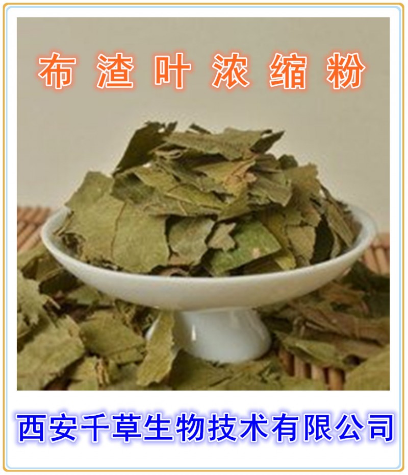 布渣叶浓缩粉