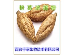 粉葛提取物  粉葛速溶粉  粉葛浓缩粉  粉葛粉